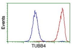 TUBB4 Mouse anti-Canine, Human, Mouse, Rat, Clone: OTI3F1, liquid, TrueMAB