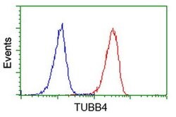 TUBB4 Mouse anti-Canine, Human, Mouse, Rat, Clone: OTI3F1, liquid, TrueMAB