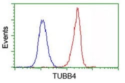 TUBB4 Mouse anti-Canine, Human, Mouse, Rat, Clone: OTI5C1, lyophilized,
