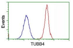TUBB4 Mouse anti-Canine, Human, Mouse, Rat, Clone: OTI5C1, lyophilized,