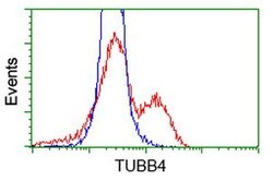 TUBB4 Mouse anti-Human, Clone: OTI6E3, lyophilized, TrueMAB 100 &mu;g | Buy Online | Origene Technologies | Fisher Scientific