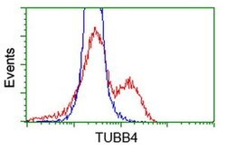 TUBB4 Mouse anti-Human, Clone: OTI6E3, liquid, TrueMAB 100 &mu;L; Unconjugated:Antibodies,