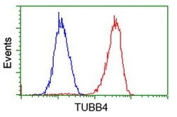 TUBB4 Mouse anti-Human, Clone: OTI6E3, liquid, TrueMAB 100 &mu;L; Unconjugated:Antibodies,