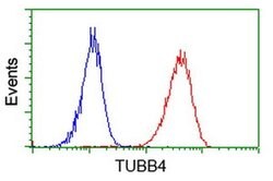 TUBB4 Mouse anti-Human, Clone: OTI6E3, liquid, TrueMAB 100 &mu;L; Unconjugated:Antibodies,