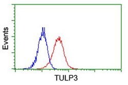 TULP3 Monoclonal Antibody (OTI7B8), TrueMAB , OriGene 30 &mu;L | Buy Online | Origene Technologies | Fisher Scientific