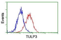 TULP3 Monoclonal Antibody (OTI6C7), TrueMAB , OriGene 100 &mu;L; Unconjugated:Antibodies,