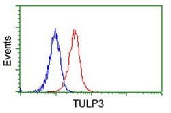 TULP3 Monoclonal Antibody (OTI6C7), TrueMAB , OriGene 100 &mu;L; Unconjugated:Antibodies,