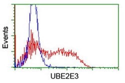 UBE2E3 Monoclonal Antibody (OTI1D12), TrueMAB , OriGene 30 &mu;L; Unconjugated:Antibodies,