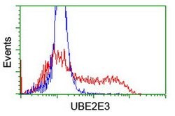 UBE2E3 Mouse anti-Human, Clone: OTI2B1, lyophilized, TrueMAB 100 &mu;g;