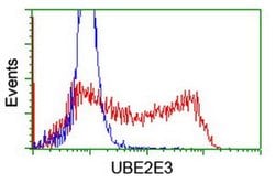 UBE2E3 Monoclonal Antibody (OTI1D10), TrueMAB , OriGene 30 &mu;L; Unconjugated:Antibodies,
