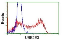 UBE2E3 Monoclonal Antibody (OTI4G4), TrueMAB , OriGene 30 &mu;L; Unconjugated:Antibodies,