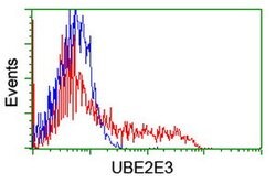 UBE2E3 Mouse anti-Human, Clone: OTI3E5, lyophilized, TrueMAB 100 &mu;g;
