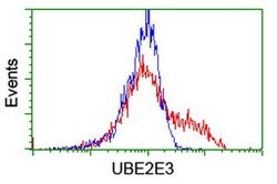 UBE2E3 Mouse anti-Human, Clone: OTI4C8, lyophilized, TrueMAB 100 &mu;g;