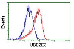 UBE2E3 Mouse anti-Human, Clone: OTI4C8, lyophilized, TrueMAB 100 &mu;g;