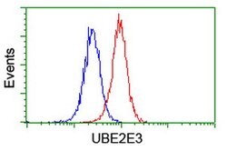 UBE2E3 Mouse anti-Human, Clone: OTI4C8, lyophilized, TrueMAB 100 &mu;g;