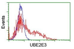UBE2E3 Monoclonal Antibody (OTI2E5), TrueMAB , OriGene 100 &mu;L; Unconjugated:Antibodies,