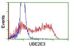 UBE2E3 Monoclonal Antibody (OTI6D3), TrueMAB , OriGene 100 &mu;L; Unconjugated:Antibodies,