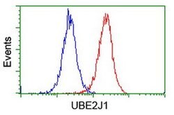 UBE2J1 Monoclonal Antibody (OTI3E6), TrueMAB , OriGene 100 &mu;L; Unconjugated:Antibodies,