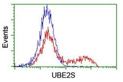 UBE2S Monoclonal Antibody (OTI1B5), TrueMAB , OriGene 30 &mu;L; Unconjugated:Antibodies,