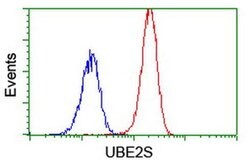 UBE2S Monoclonal Antibody (OTI1B5), TrueMAB , OriGene 30 &mu;L; Unconjugated:Antibodies,