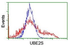 UBE2S Monoclonal Antibody (OTI4G2), TrueMAB , OriGene 30 &mu;L; Unconjugated:Antibodies,