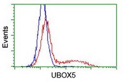 UBOX5 Monoclonal Antibody (OTI 7G1), TrueMAB , OriGene:Antibodies:Primary