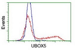 UBOX5 Monoclonal Antibody (OTI5G9), TrueMAB , OriGene:Antibodies:Primary