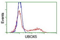 UBOX5 Monoclonal Antibody (OTI 4C1), TrueMAB , OriGene:Antibodies:Primary