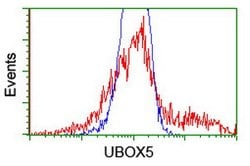 UBOX5 Mouse anti-Human, Clone: OTI1C5, lyophilized, TrueMAB 100 &mu;g;