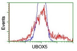 UBOX5 Monoclonal Antibody (OTI1C5), TrueMAB , OriGene 100 &mu;L; Unconjugated:Antibodies,
