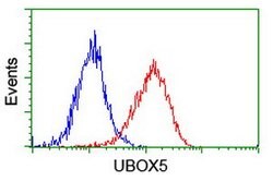 UBOX5 Mouse anti-Human, Clone: OTI1C5, lyophilized, TrueMAB 100 &mu;g;