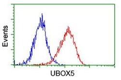 UBOX5 Monoclonal Antibody (OTI1C5), TrueMAB , OriGene 100 &mu;L; Unconjugated:Antibodies,