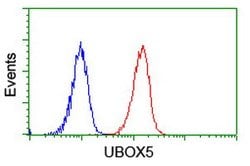 UBOX5 Mouse anti-Human, Clone: OTI1C5, lyophilized, TrueMAB 100 &mu;g;