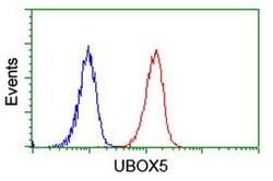 UBOX5 Monoclonal Antibody (OTI1C5), TrueMAB , OriGene 100 &mu;L; Unconjugated:Antibodies,