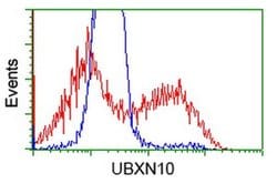 UBXN10 Monoclonal Antibody (OTI1H5), TrueMAB , OriGene 100 &mu;L; Unconjugated:Antibodies,