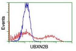 UBXN2B Mouse anti-Canine, Human, Clone: OTI2E8, lyophilized, TrueMAB 100