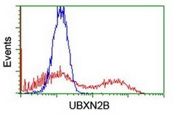 UBXN2B Monoclonal Antibody (OTI2E8), TrueMAB , OriGene 100 &mu;L; Unconjugated:Antibodies,