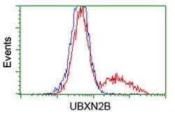 UBXN2B Mouse anti-Human, Clone: OTI1G9, lyophilized, TrueMAB 100 &mu;g;