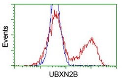 UBXN2B Mouse anti-Canine, Human, Clone: OTI3H8, liquid, TrueMAB 30 &mu;L;