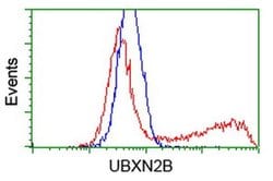 UBXN2B Monoclonal Antibody (OTI1F7), TrueMAB , OriGene 100 &mu;L; Unconjugated:Antibodies,
