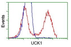UCK1 Mouse anti-Human, Clone: OTI4C2, lyophilized, TrueMAB 100 &mu;g; Unconjugated:Antibodies,