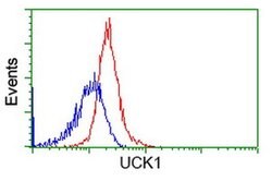 UCK1 Monoclonal Antibody (OTI1A12), TrueMAB , OriGene 30 &mu;L; Unconjugated:Antibodies,