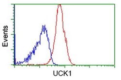 UCK1 Monoclonal Antibody (OTI1A12), TrueMAB , OriGene 30 &mu;L; Unconjugated:Antibodies,