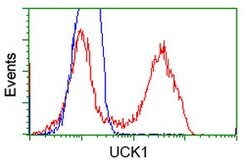 UCK1 Mouse anti-Human, Clone: OTI5E9, lyophilized, TrueMAB 100 &mu;g; Unconjugated:Antibodies,