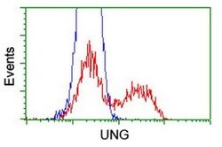 UNG Monoclonal Antibody (OTI1F8), TrueMAB , OriGene 100 &mu;L; Unconjugated:Antibodies,