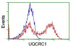 UQCRC1 Monoclonal Antibody (OTI1A3), TrueMAB , OriGene:Antibodies:Primary