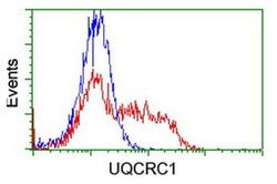 UQCRC1 Monoclonal Antibody (OTI2D10), TrueMAB , OriGene 100 &mu;L; Unconjugated:Antibodies,
