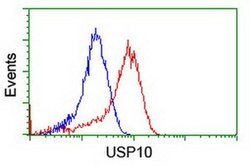 USP10 Mouse anti-Canine, Human, Mouse, Rat, Clone: OTI2E1, liquid, TrueMAB