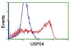 USP54 Monoclonal Antibody (OTI1G6), TrueMAB , OriGene:Antibodies:Primary