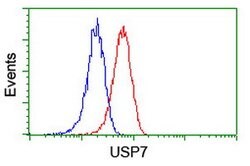 USP7 Mouse anti-Human, Clone: OTI1B2, lyophilized, TrueMAB 100 &mu;g; Unconjugated:Antibodies,